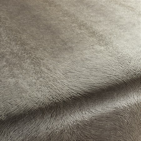 Upholstery fabric PISTOIA VELVET RELOADED CA1292/073