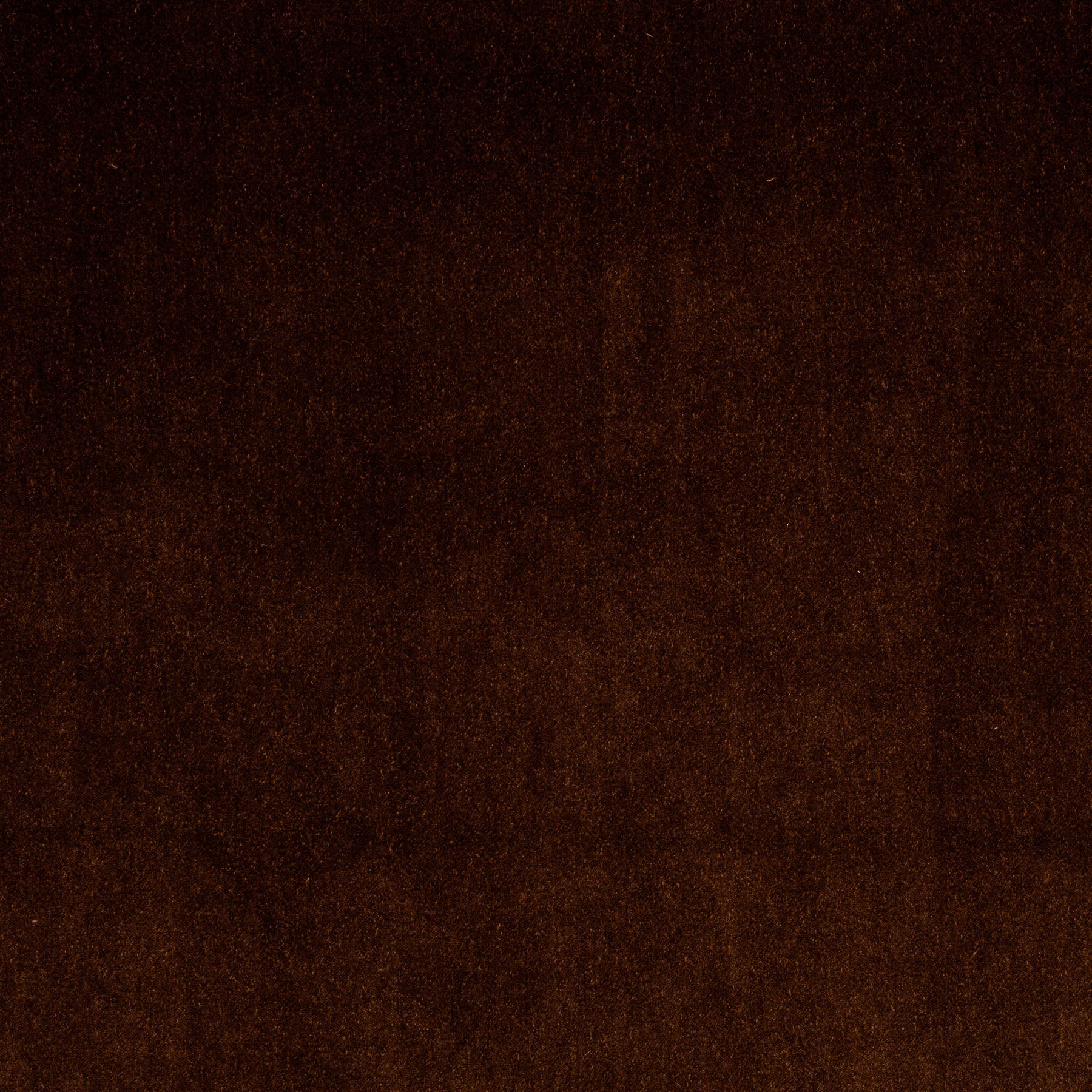 最終値下krank marcello vintage fabric カシミア Upholstery fabric CITY VELVET RELOADED CA7832/021 | Carlucci