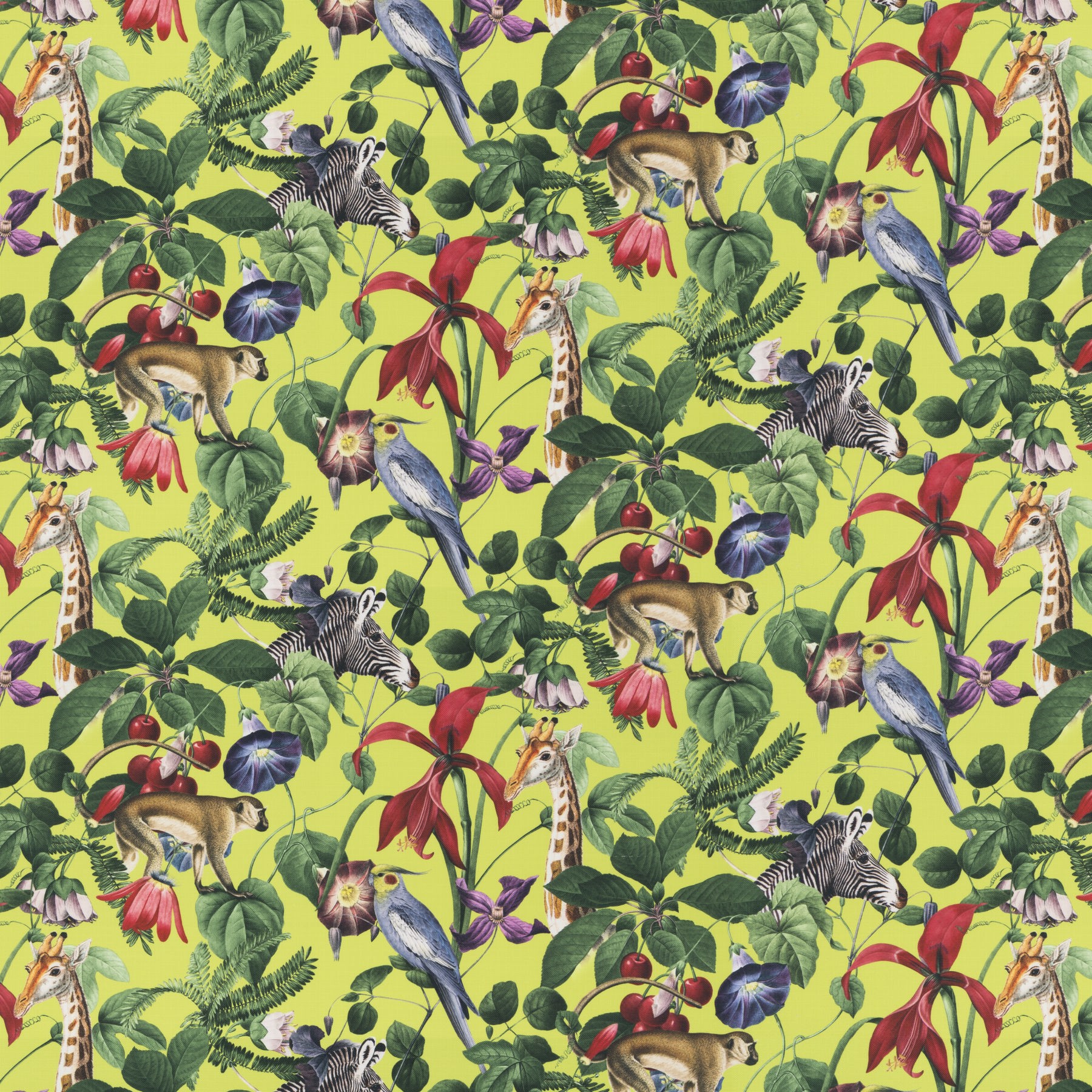 Upholstery fabric EXOTIC JA8000030 JAB ANSTOETZ Fabrics