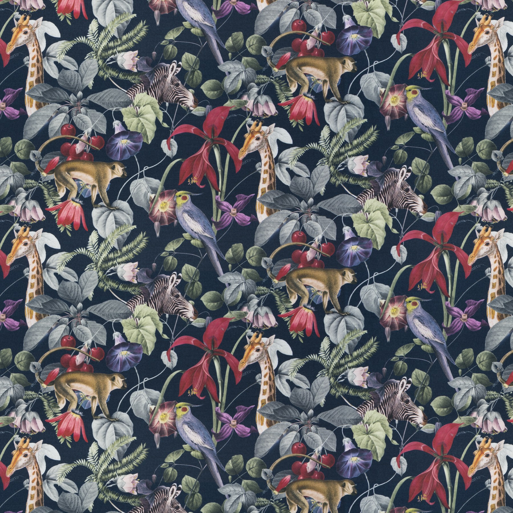 Upholstery fabric EXOTIC JA8000-050 | JAB ANSTOETZ Fabrics