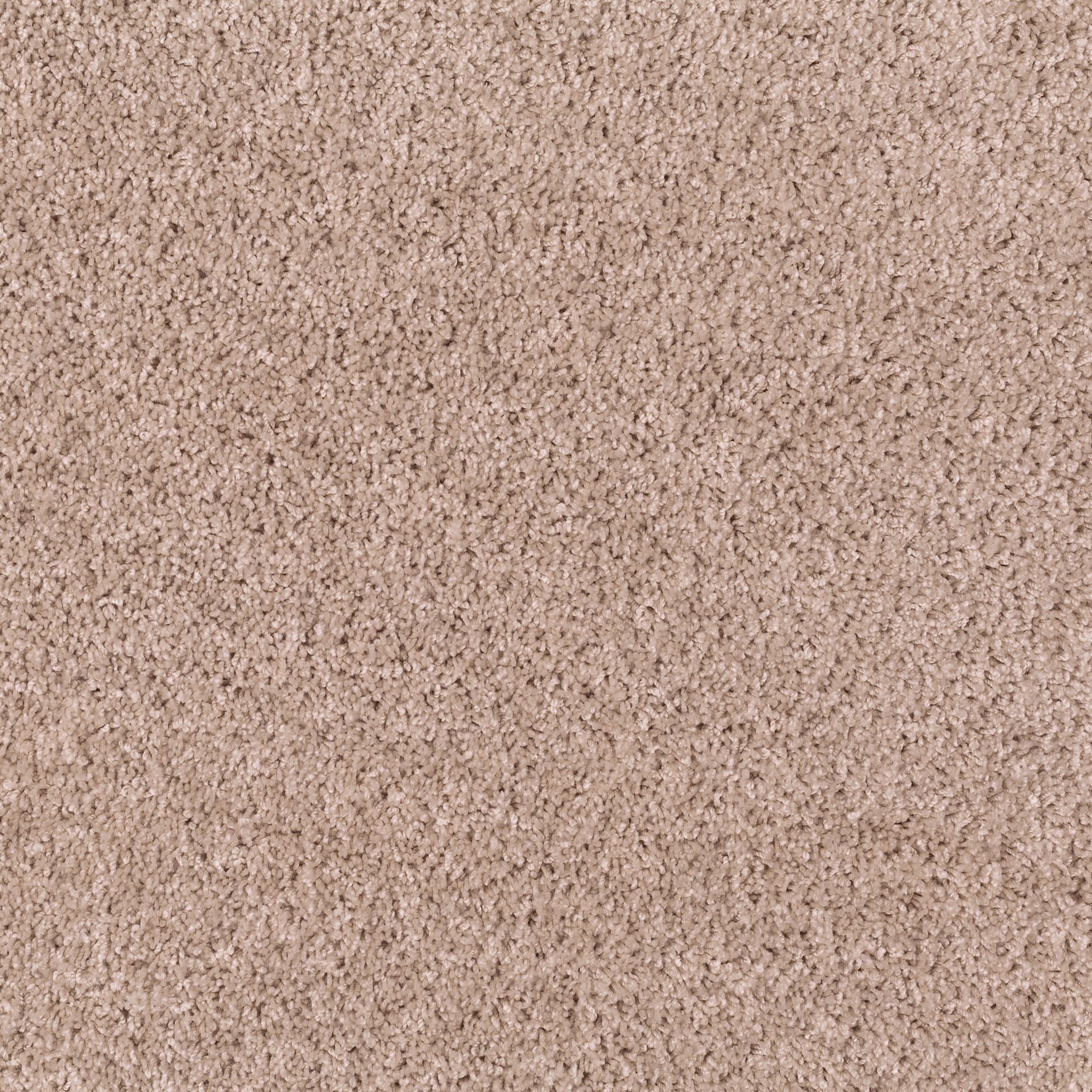 Carpeting Supreme 3700/168 | JAB ANSTOETZ Flooring