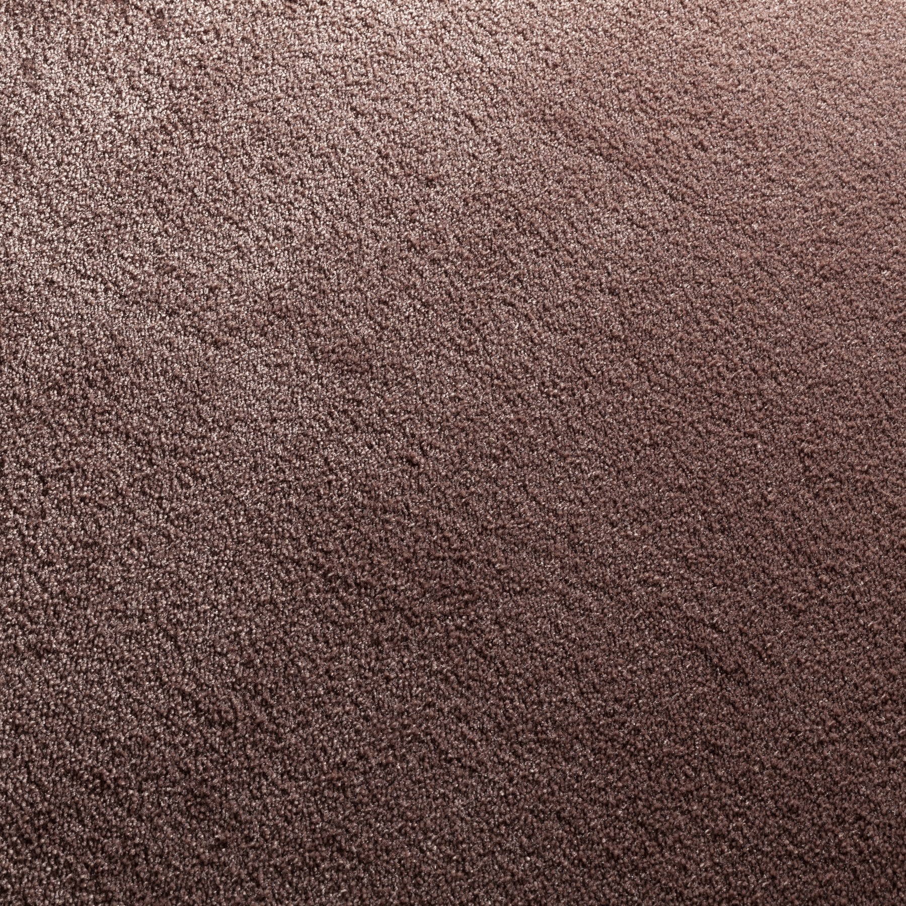 Carpeting Twinkle 3745/486 | JAB ANSTOETZ Flooring