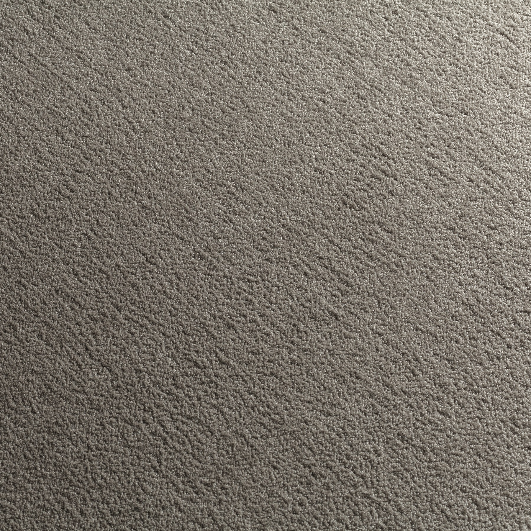 Carpeting Dreamer 3768/496 | JAB ANSTOETZ Flooring